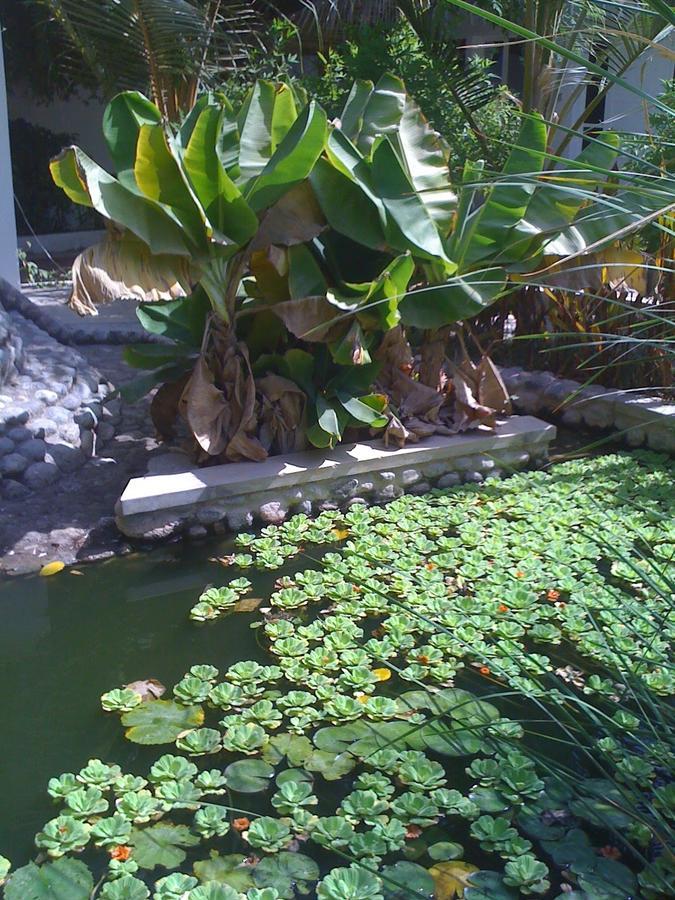 Garden Roomz Oman Muskat Eksteriør bilde