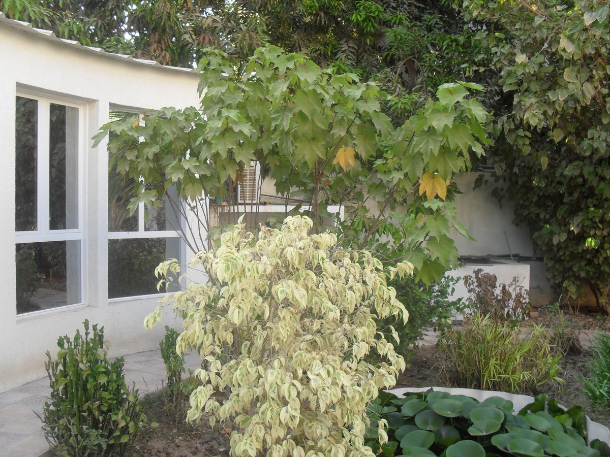 Garden Roomz Oman Muskat Eksteriør bilde
